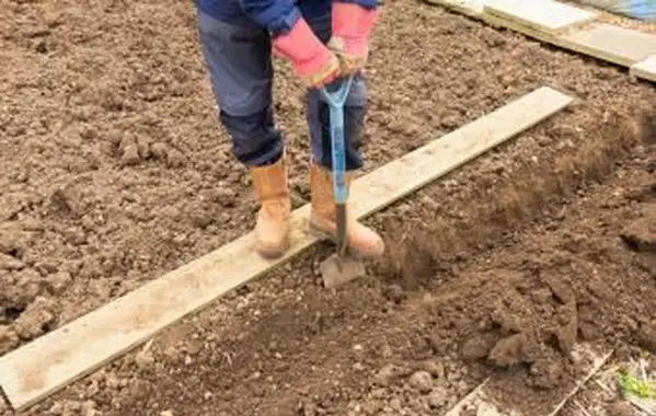 Giardiniere che scava una trincea
