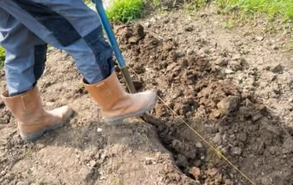 Come arare il terreno senza una motozappa