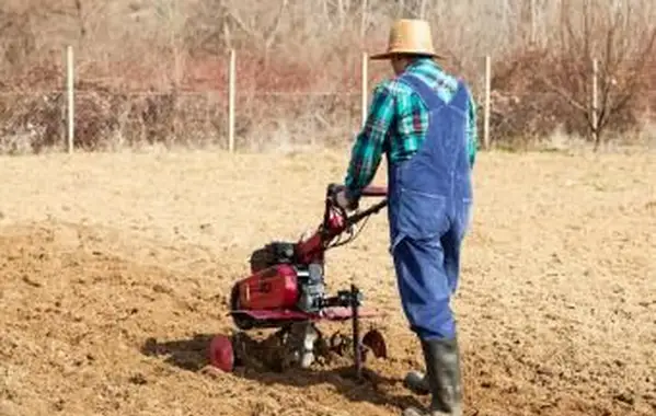 Até a área do jardim