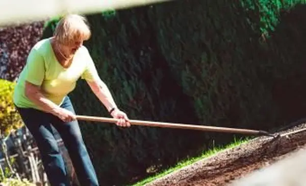 Maneira mais fácil de remover pedras do jardim
