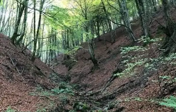 Vodné filtre cez zem