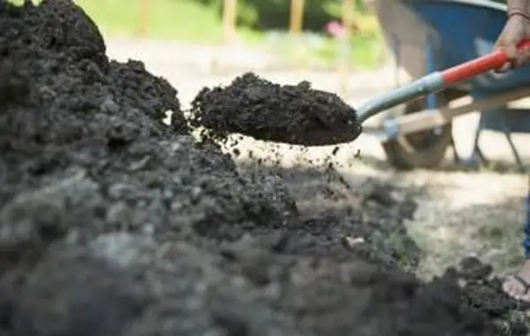 シャベル庭の土