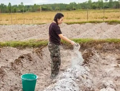 庭の土に石灰を加える方法
