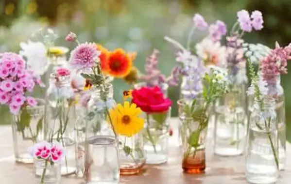 Une liste de fleurs de printemps