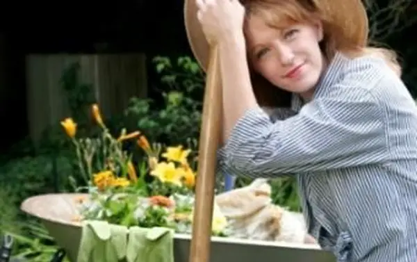 Fertilisation d'automne du jardin