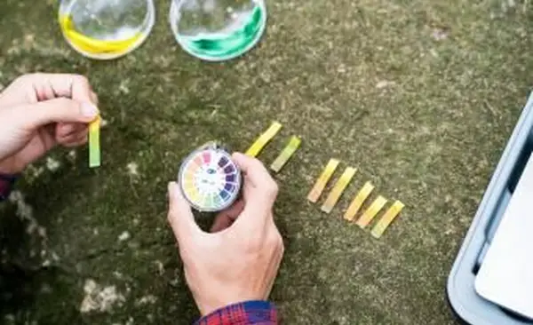 Cómo probar el pH del suelo