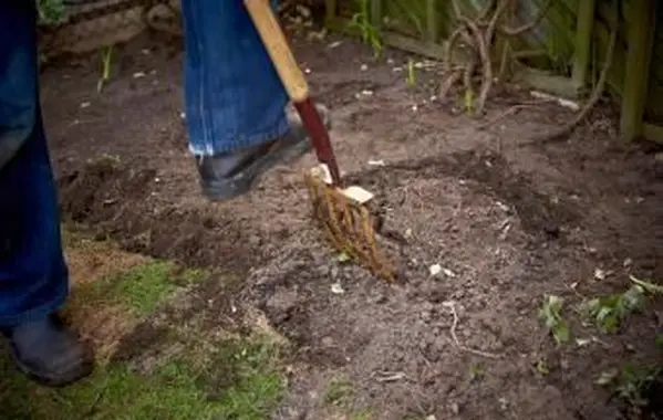 Labrar la tierra con horquilla