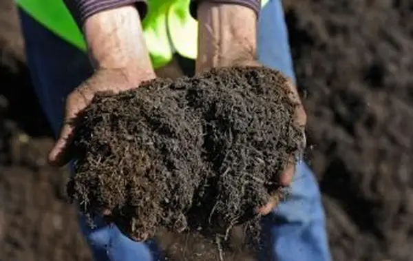 Agregar abono al jardín