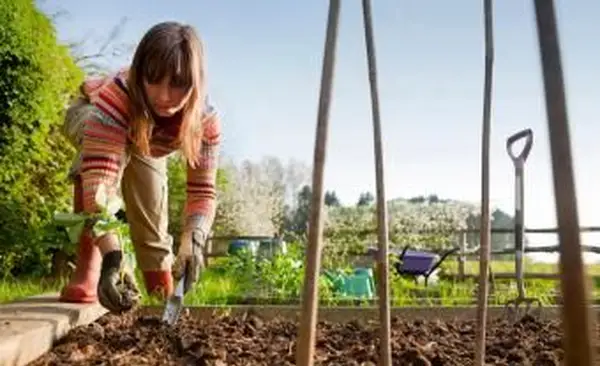 ¿Cuándo es demasiado tarde para plantar un jardín?
