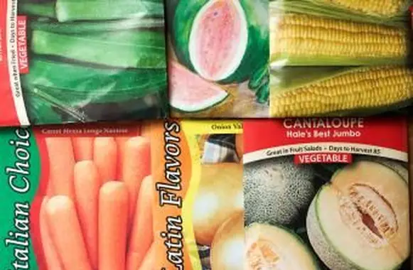 Endroits pour acheter des graines avec livraison gratuite