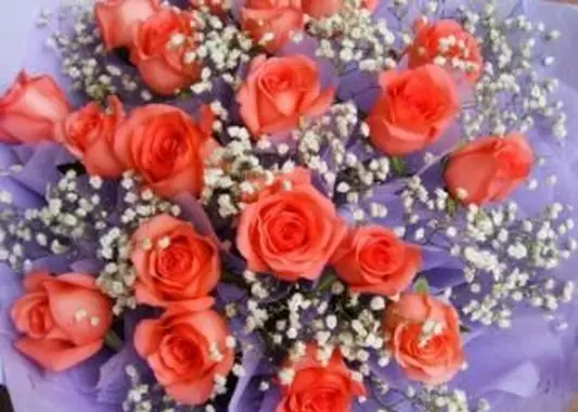 장미 꽃 (400_x_300) .webp