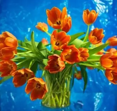 Conservación de flores frescas cortadas