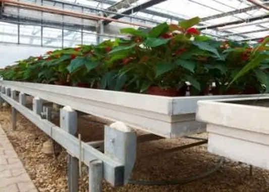 湿った砂利のベッドの上のベンチ