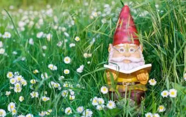 Livro de leitura Garden Gnome