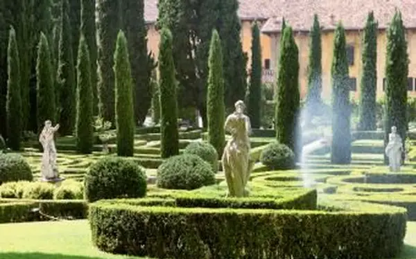 Estatutos e ciprestes