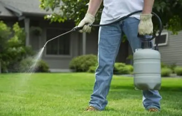 Homem pulverizando gramado