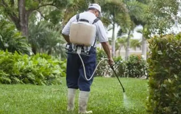 Technik kontroly buriny postrekujúci burinu