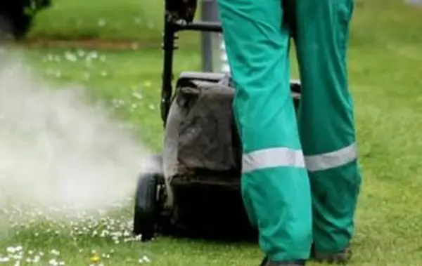 Domáca hmlovina proti komárom