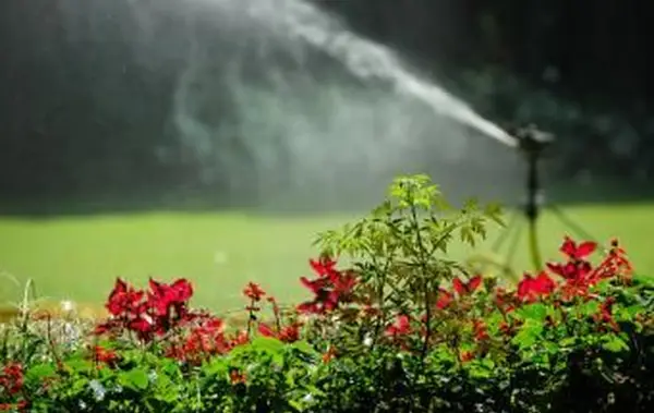 Zraszacz na podwórku