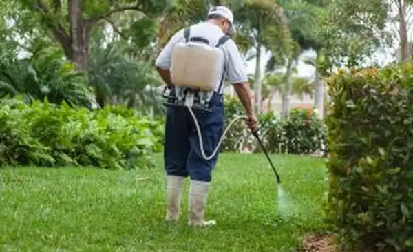 Techniker für Schädlingsbekämpfung