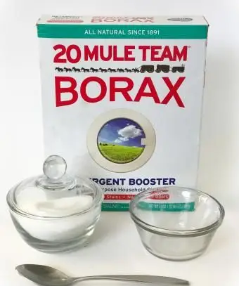 Borax et sucre répulsif contre les fourmis volantes