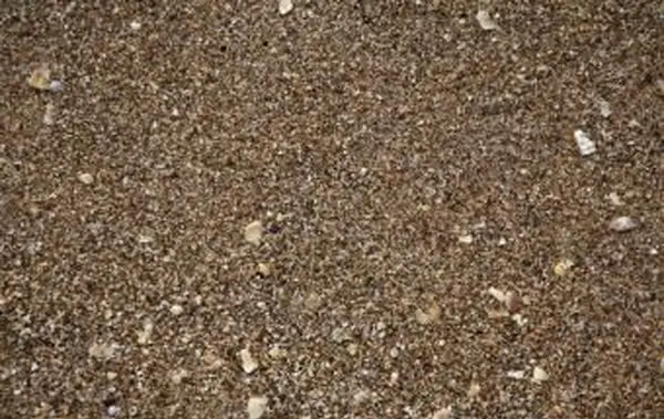 https://cf.ltkcdn.net/garden/images/slide/112062-849x565-Sand.webp