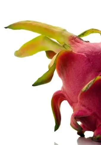 https://cf.ltkcdn.net/garden/images/slide/112078-567x847-Dragon-Fruit.webp
