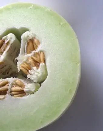 https://cf.ltkcdn.net/garden/images/slide/112080-600x800-Honeydew-Melon.webp