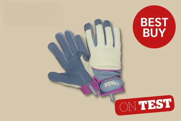 Revisão de Proteção Geral de luvas de clipe