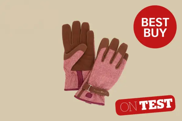  Verdantvowse Review of Burgon and Ball Love the Glove