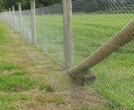 Filo a forma di L su recinzione a prova di coniglio