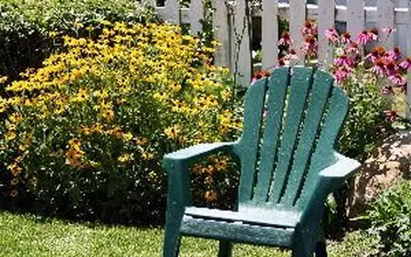 Mangeur de mauvaises herbes Ryobi