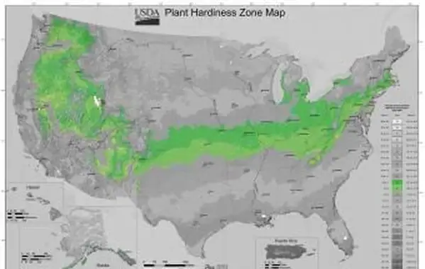 Zóna záhradníctva USDA 6