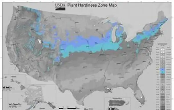 Zona 5 de jardinagem do USDA