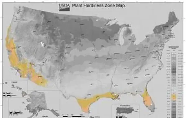 Zona di giardinaggio USDA 9