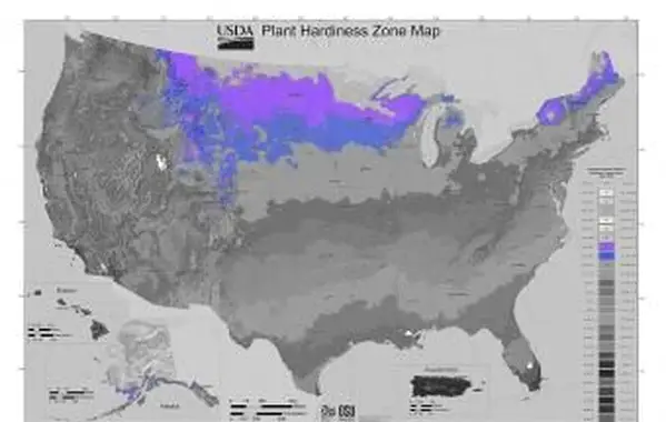 Zona de jardinagem 4 do USDA