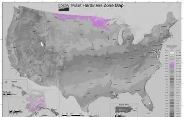 Zone de jardinage USDA 3
