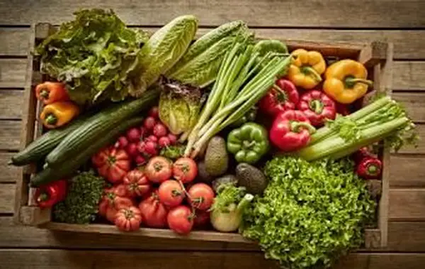 verduras frescas, orgánicas y saludables