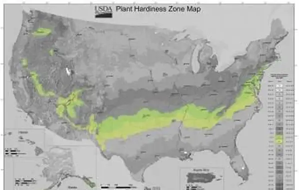 Mapa de zonas de resistencia de plantas del USDA - Zona 7