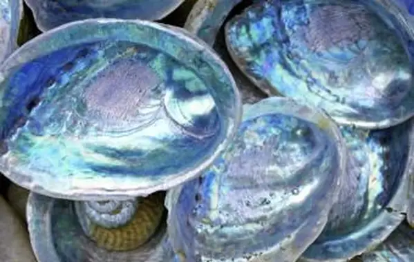 진주의 의미, 사실 및 청소 팁