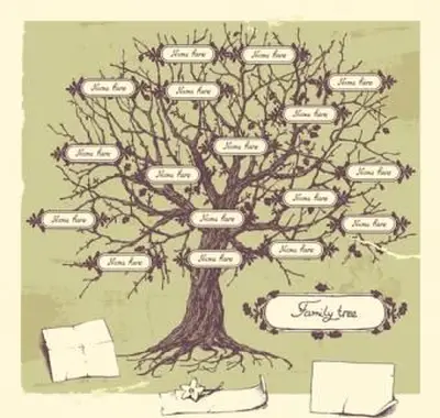 Illustrazione dell'albero genealogico