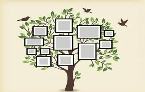 Albero genealogico stampabile gratuitamente