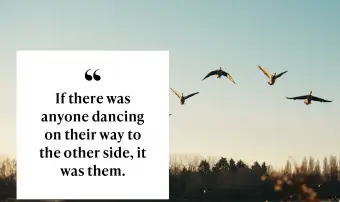 Silueta ptáků létajících nad jezerem proti obloze při západu slunce