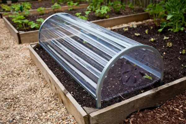 Polythene cloche over a raised bed