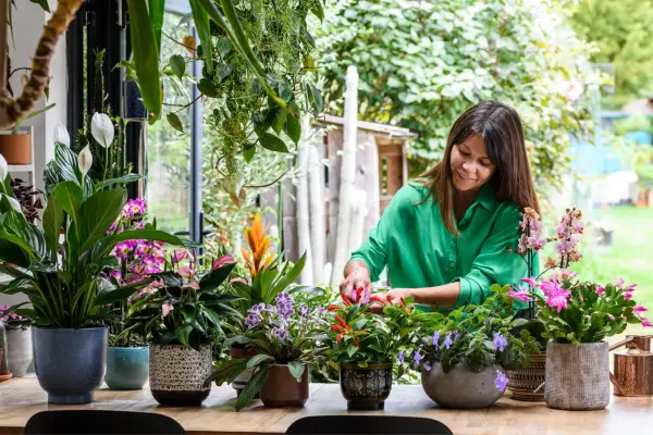 Sarah Gerrard-Jones cleaning leaves of house plants