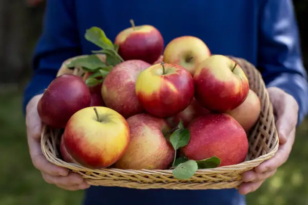 How to grow apples