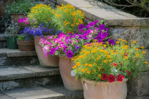 Ni måder at tilføje farve til haven