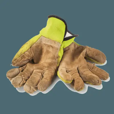 10 plantas con savia irritante