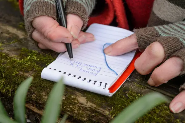 make a note of the hellebores you have cross-pollinated