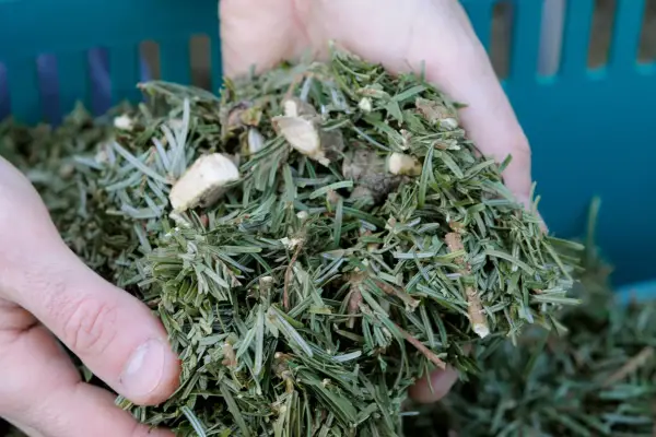 christmas-tree-chippings-3